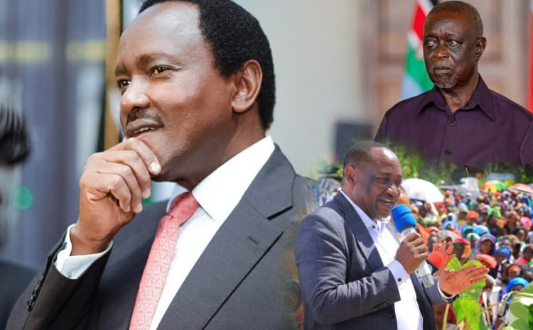  Azimio at a Crossroads: NLP Leads Resistance as Azimio Leadership Shake-Up Sparks Tensions